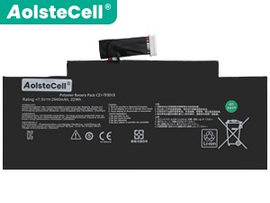 Asus TF300TG replacement battery