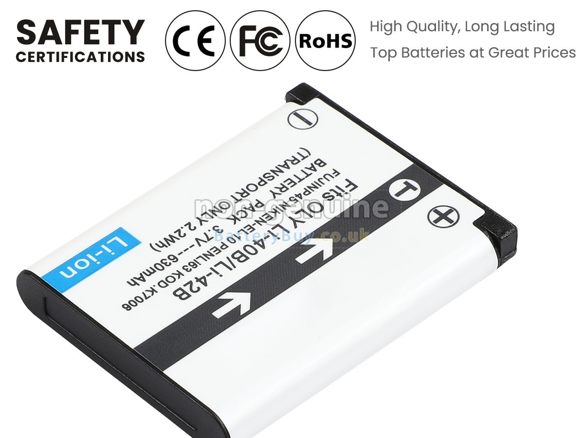 Replacement Battery for Casio NP-80