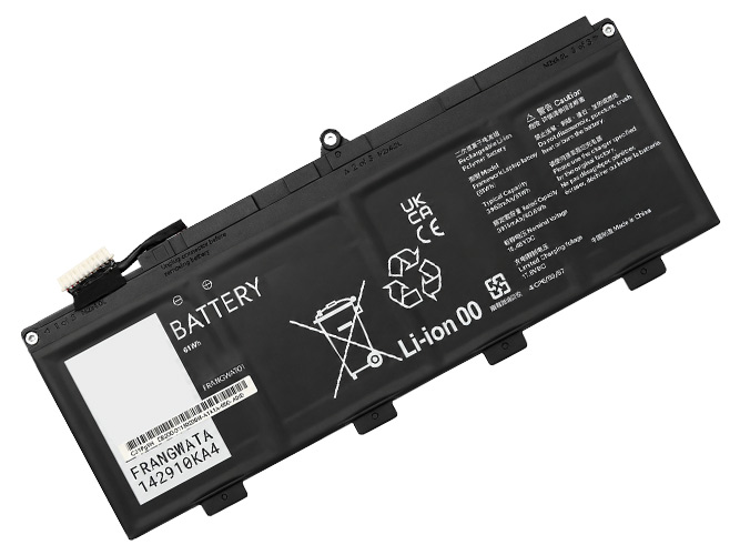 Framework FRANBBATO1 battery