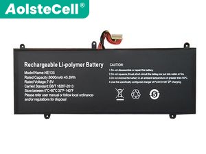 FunHouse NE135 replacement battery