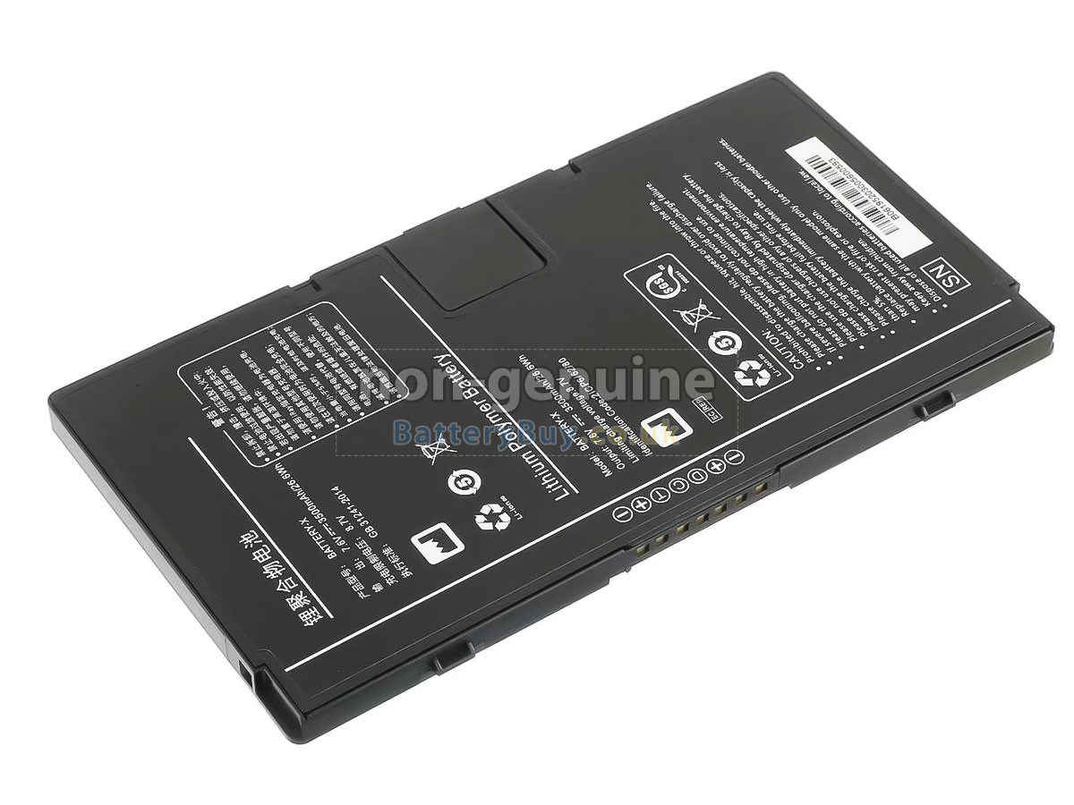 Replacement Battery for Iray BATTERY-X