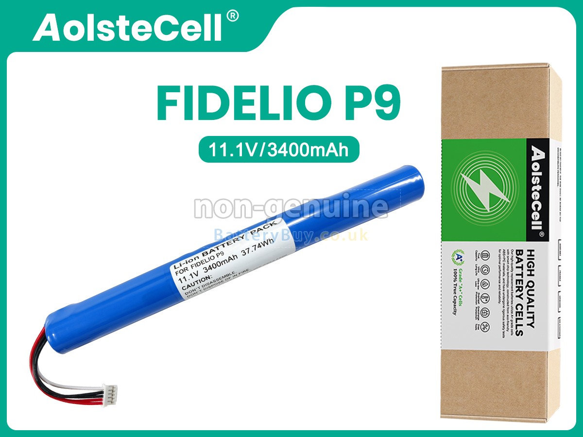 Replacement Battery for Philips FIDELIO P9