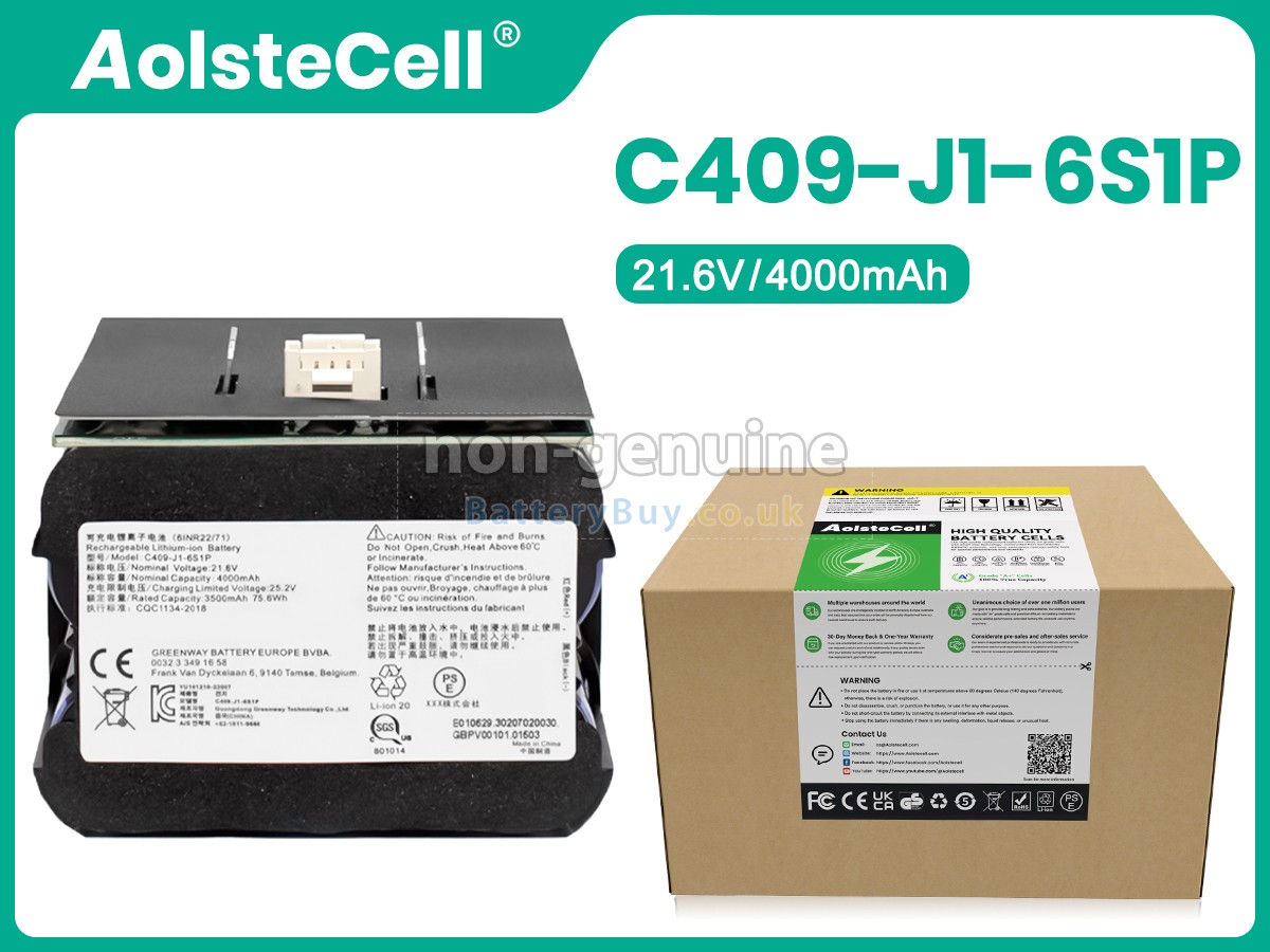 replacement battery for Roidmi C409-J1-6S1P