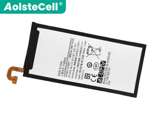 Samsung C9010 replacement battery