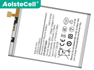 Samsung W2020 replacement battery