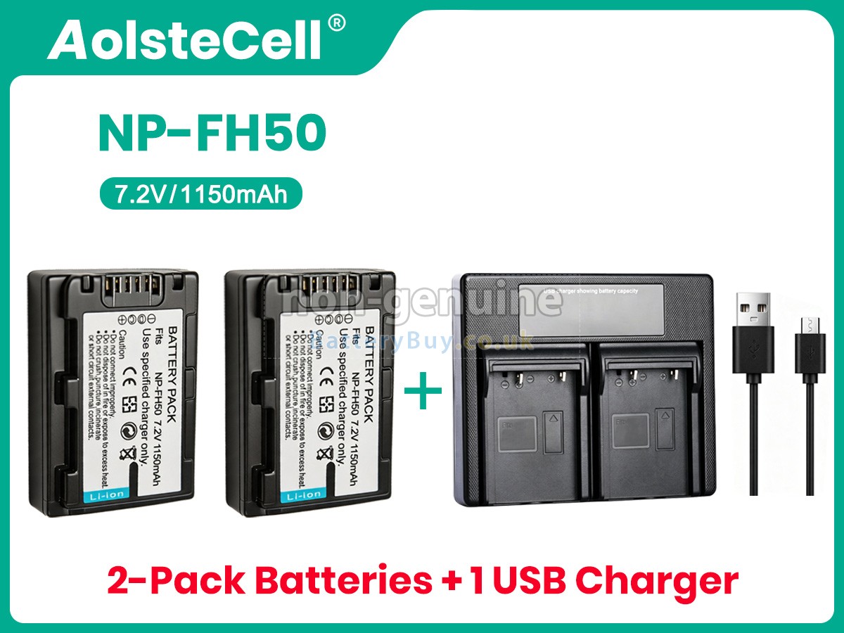 Replacement Battery for Sony HX200