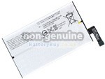 Sony 1315-7716 replacement battery